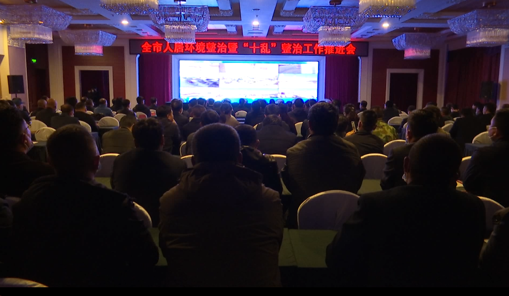 全市人居环境整治暨“十乱”整治工作推进会议召开