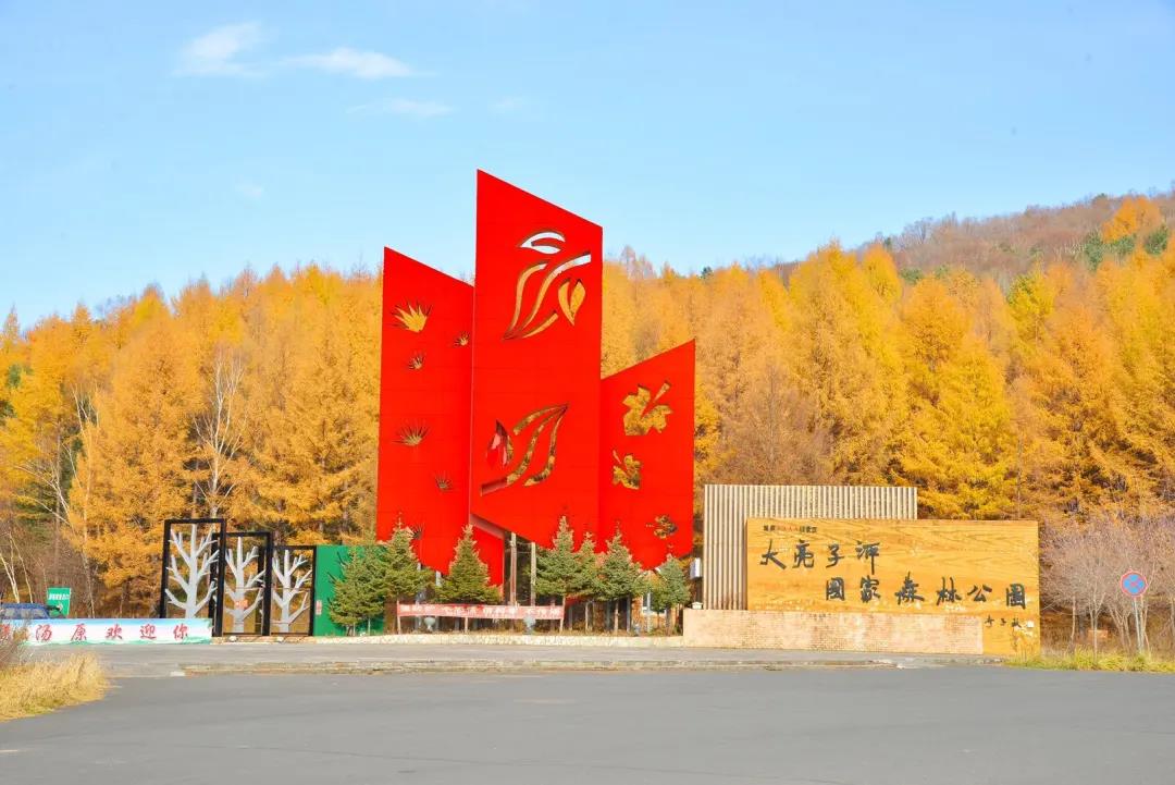 2020年黑龙江省省级旅游度假区评定结果及2020年度乡村文化和旅游能人支持项目拟入选人员名单的公示