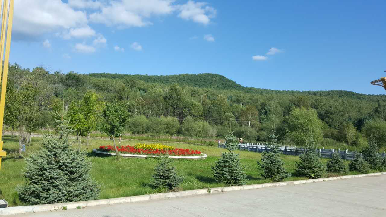 汤原县林业和草原局资源和特色林下经济