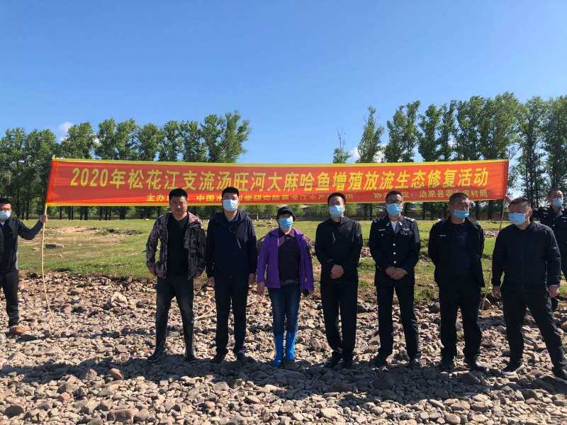 汤原县：10万尾大麻哈鱼苗放流汤旺河
