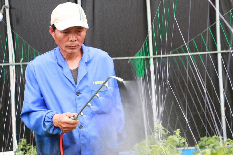 撒下精致农业的“种子”