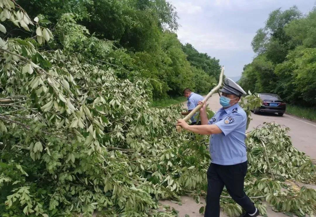 平安铁力|风雨过后，铁力交警及时清理路障 保道路畅通安全