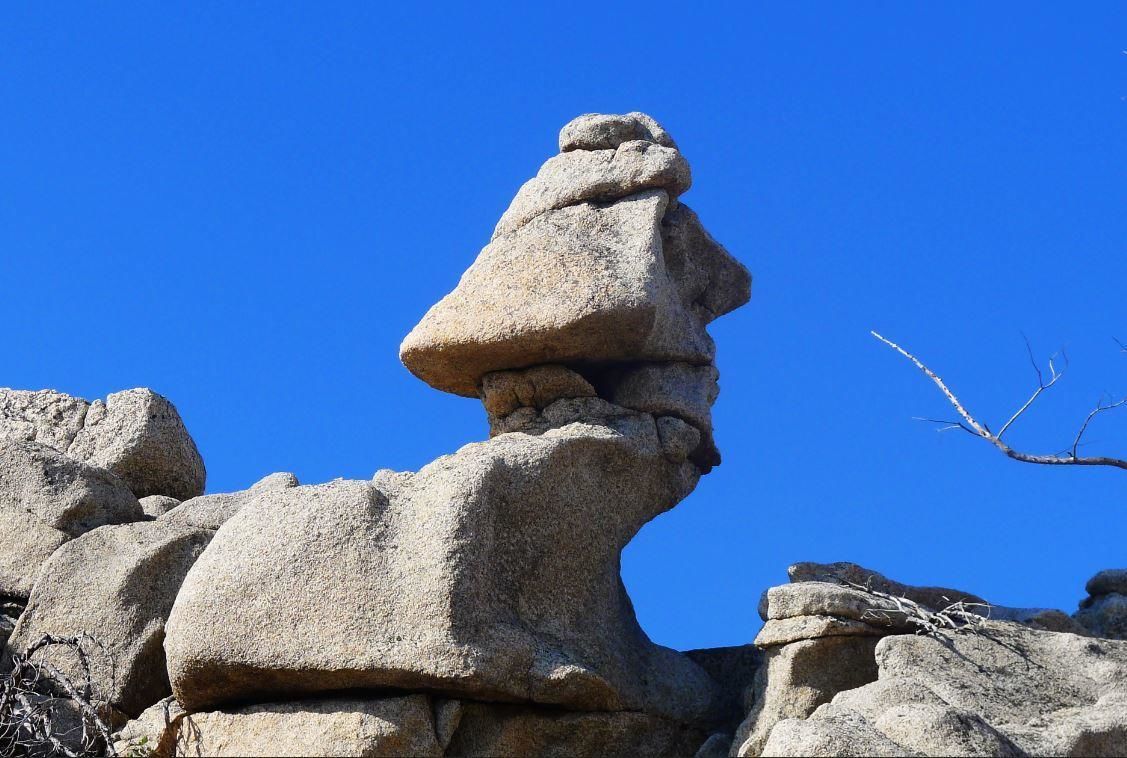 漠河石林地质公园