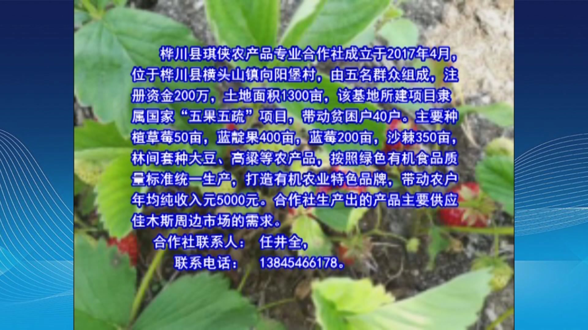 [卖货郎]助力脱贫攻坚 打造“网红”农货新品牌