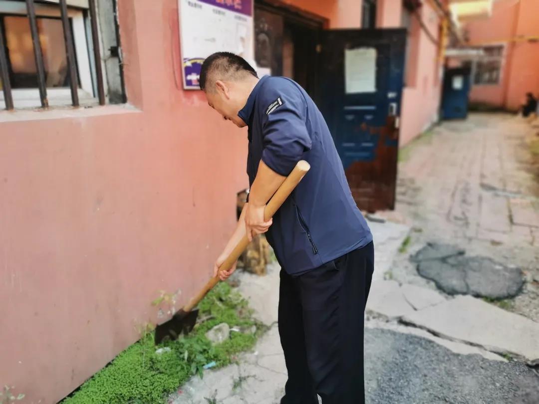 创卫在行动|铁力市纪委监委开展环境卫生整治助力国家卫生城市创建