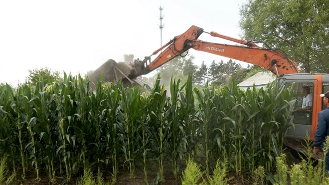 铁力市多部门联动保障老工业区道路工程顺利施工