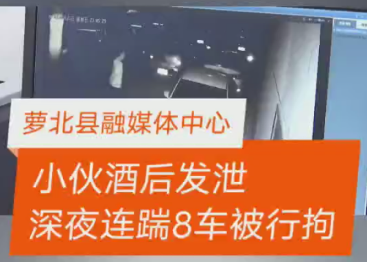 小伙感情不顺酒后发泄 深夜连踹八辆汽车被行拘