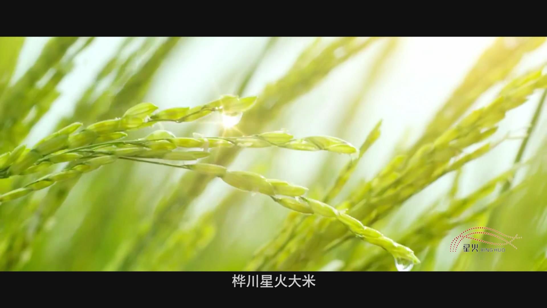 《星火大米推介片》