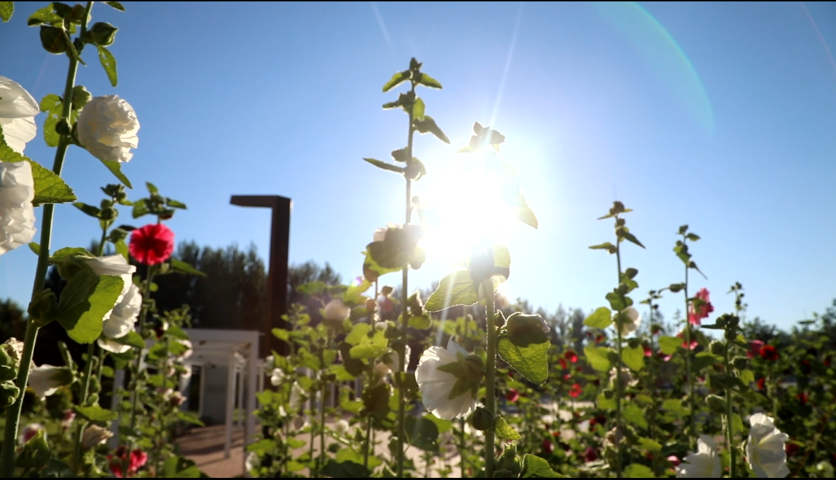 《大美安达》之·公园秀