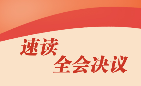 一图速览全会决议
