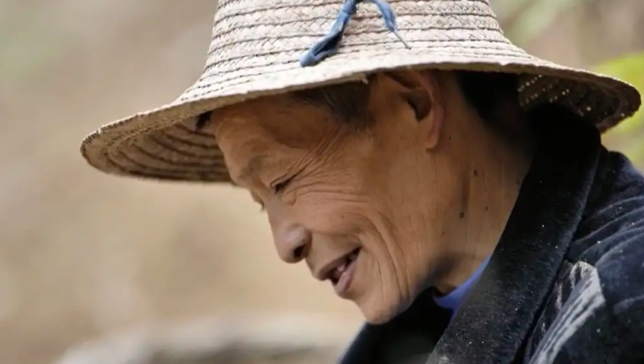 脱贫攻坚优秀短视频 丨《丁家美的心愿》