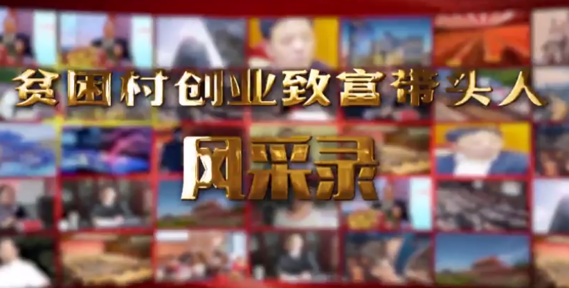 贫困村创业致富带头人风采录——潘健章