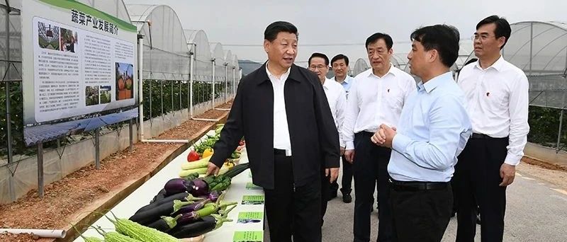 【关注】习近平谈乡村振兴