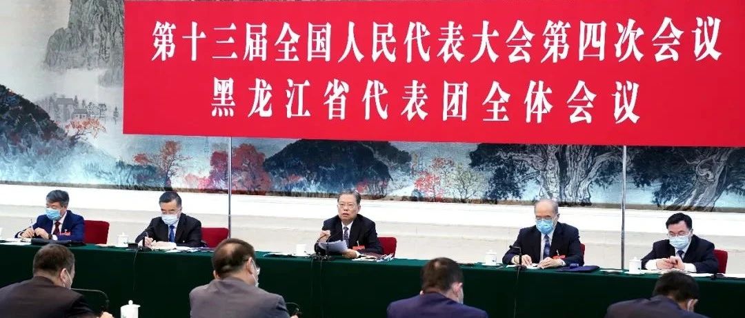 【关注】赵乐际参加黑龙江代表团审议