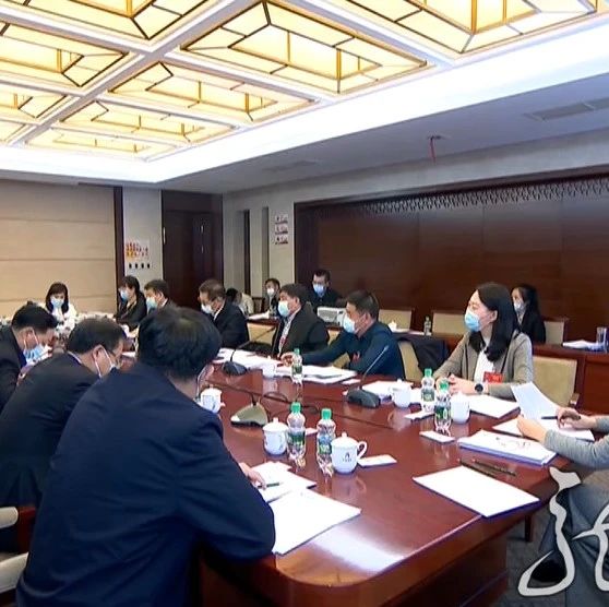 履职建言  黑龙江代表团为振兴发展建言献策~