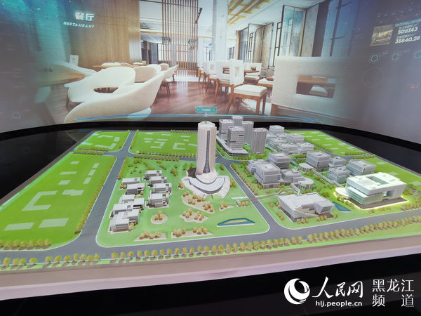 “带土移植”特区理念 深圳哈尔滨联手绘就“双城故事”美好蓝图