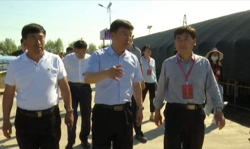 中国食用菌协会会长、中华全国供销合作总社科教社团部一级巡视员高茂林一行到汤原县考察调研黑木耳产业发展情况