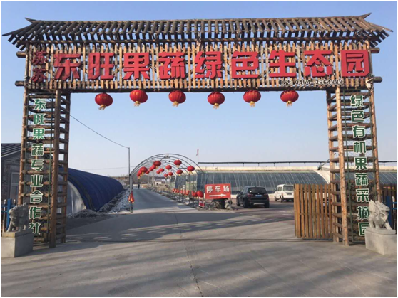 【果蔬采摘】桦川县东旺果蔬绿色生态园