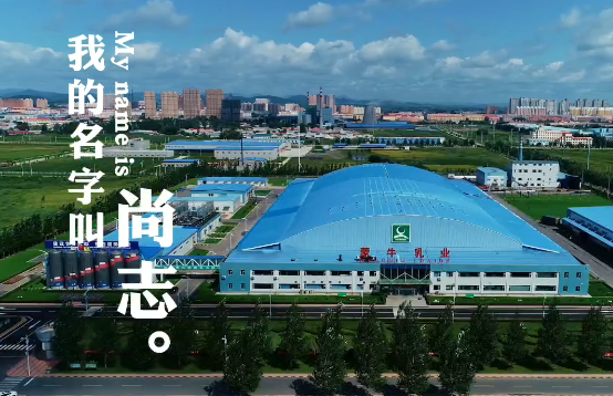 尚志的春夏秋冬