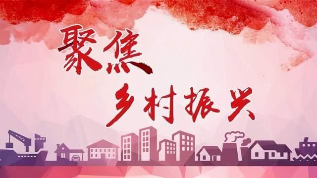 《南村，还是南村村？》