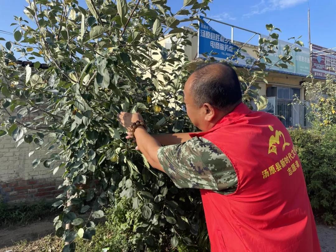 胜利乡：让文明之果挂满枝头