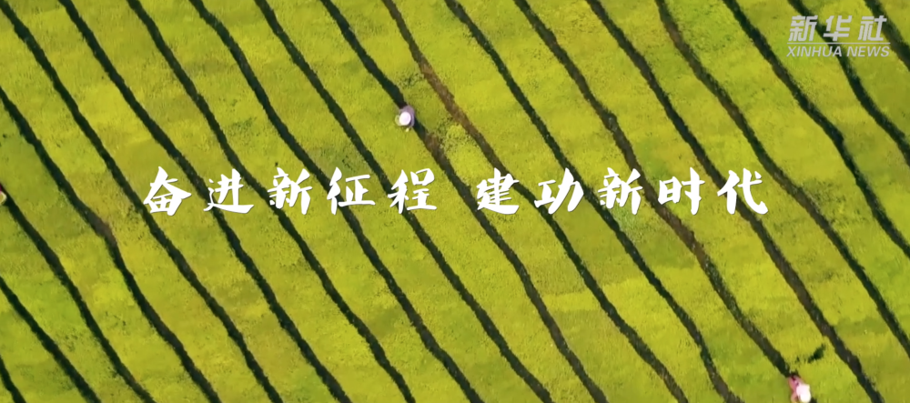 奋进新征程 建功新时代丨重温脱贫攻坚楷模的感人事迹
