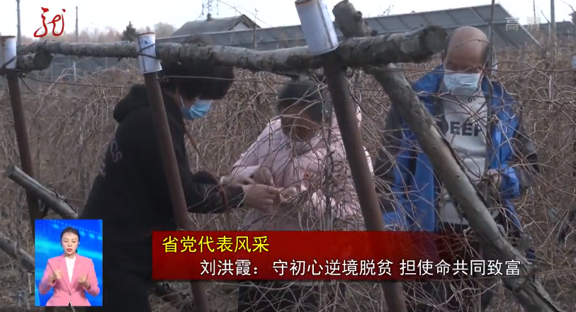 省党代表风采｜刘洪霞：守初心逆境脱贫 担使命共同致富