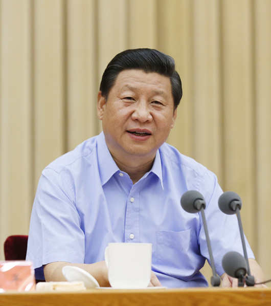 建设中国特色社会主义法治体系，习近平强调要着力抓好这五方面工作