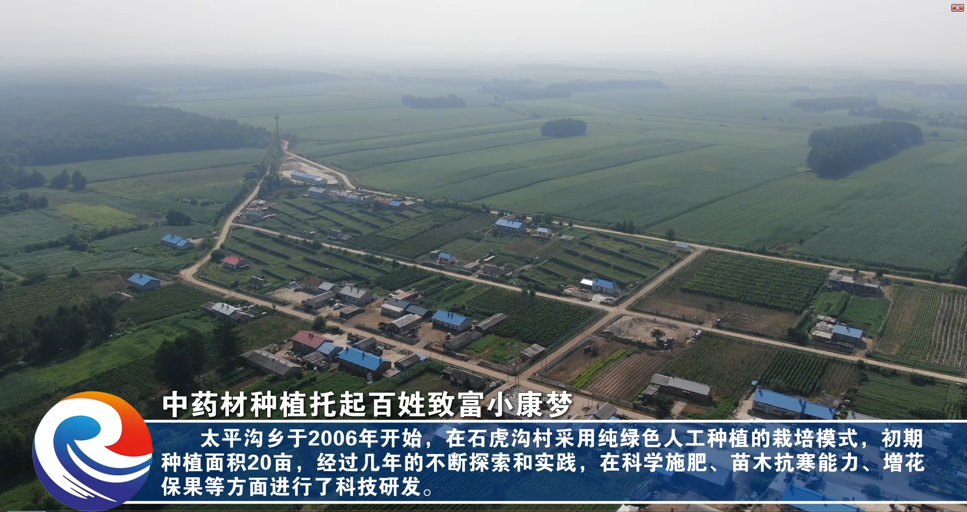 【融媒视频】中药材种植 托起百姓致富小康梦
