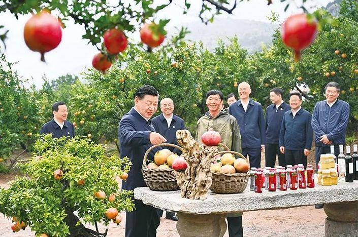 深入开展学习贯彻习近平新时代中国特色社会主义思想主题教育丨习近平：开辟马克思主义中国化时代化新境界