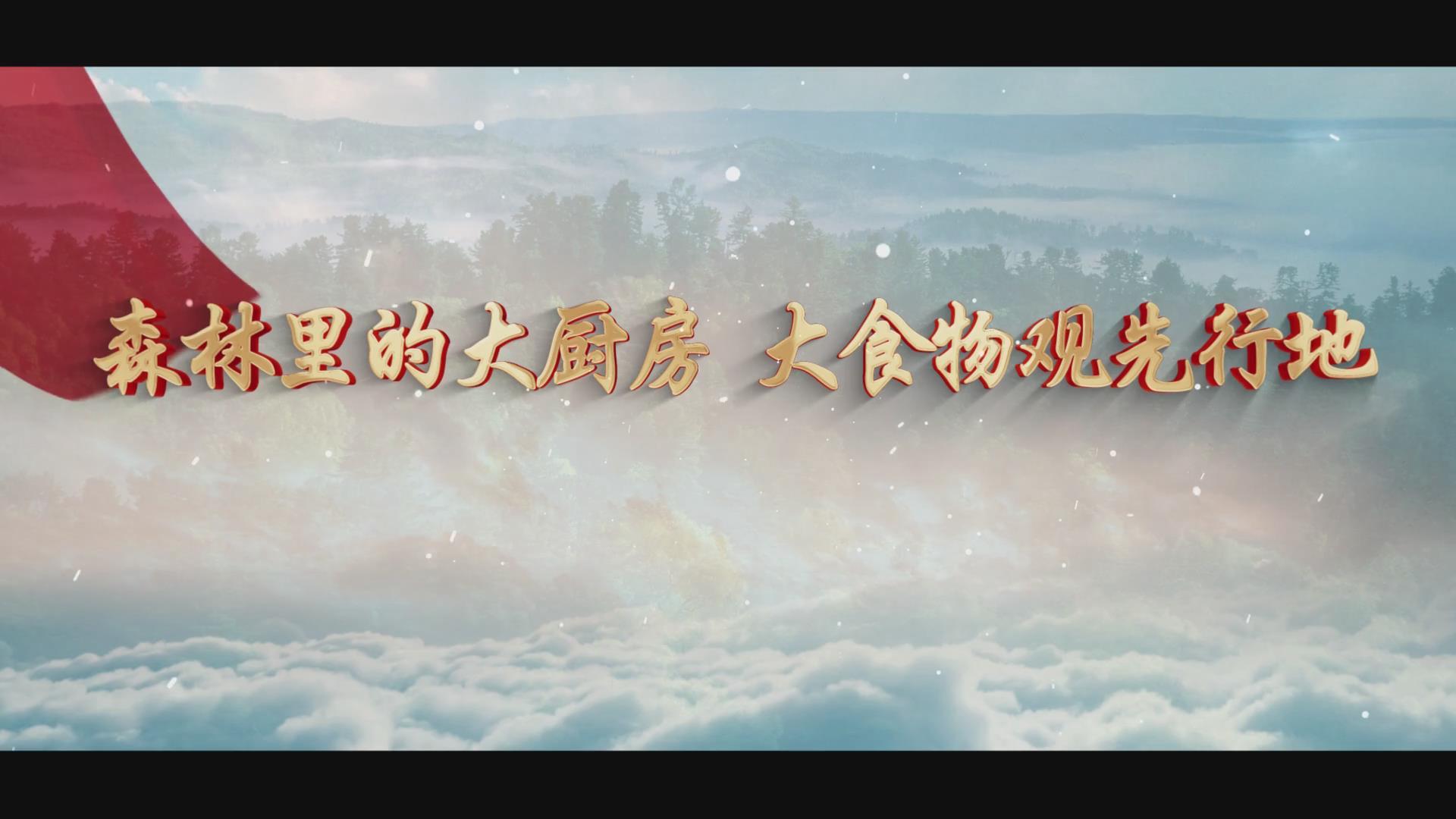 思想之光集体创作作品展播-伊春市-森林大厨房