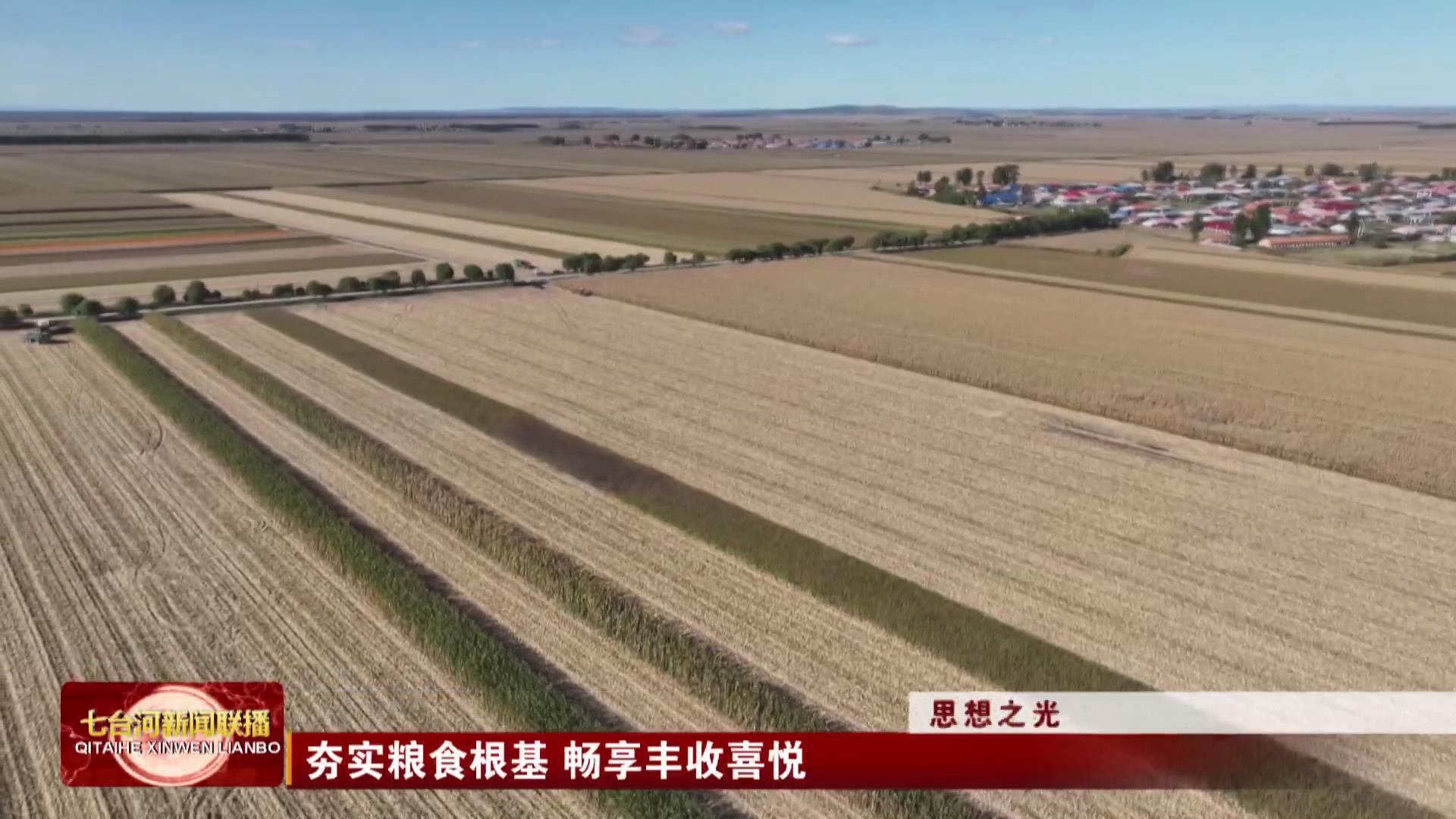 思想之光集体创作作品展播-七台河市-夯实粮食根基 畅享丰收喜悦