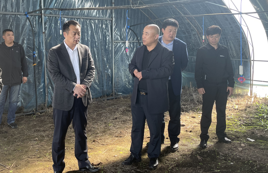 孙吴县委主要领导深入乡镇检查调研当前重点工作