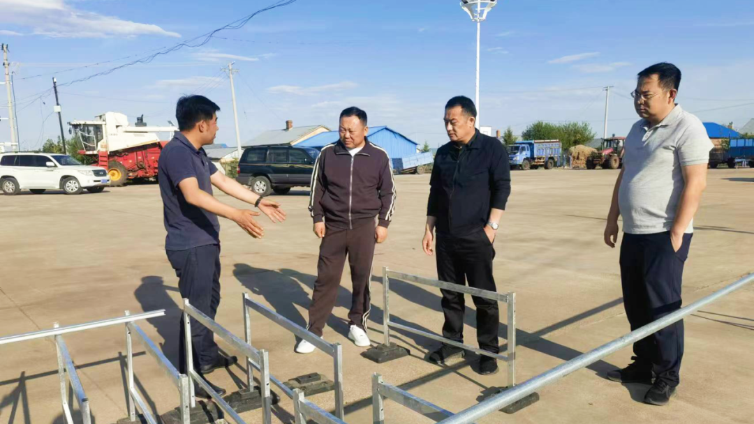 孙吴县委主要领导调研指导乡村振兴重点工作