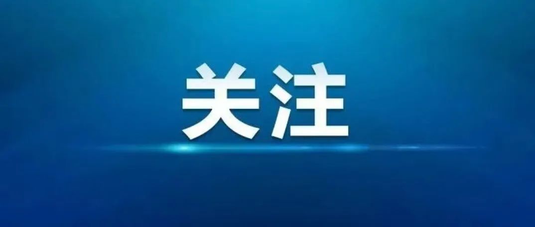[两会1+1]面孔 陈雨佳：回乡创业的青年人
