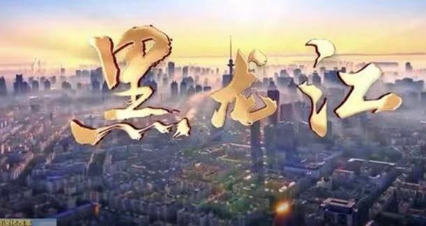 一组数据看黑龙江有多少个TOP 1