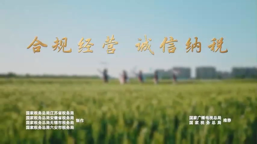 合规经营 诚信纳税