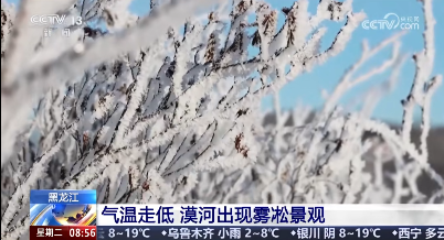牢记嘱托 感恩奋进 奋力开创高质量发展新局面|央视看漠河：黑龙江漠河出现雾凇景观