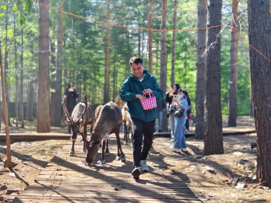 牢记嘱托 感恩奋进 奋力开创高质量发展新局面｜绿水青山成了“幸福靠山”——漠河林场践行“两山”理念的生动实践