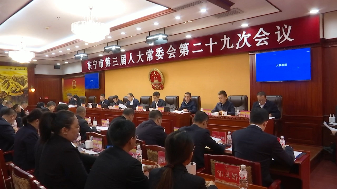 市三届人大常委会第二十九次会议召开