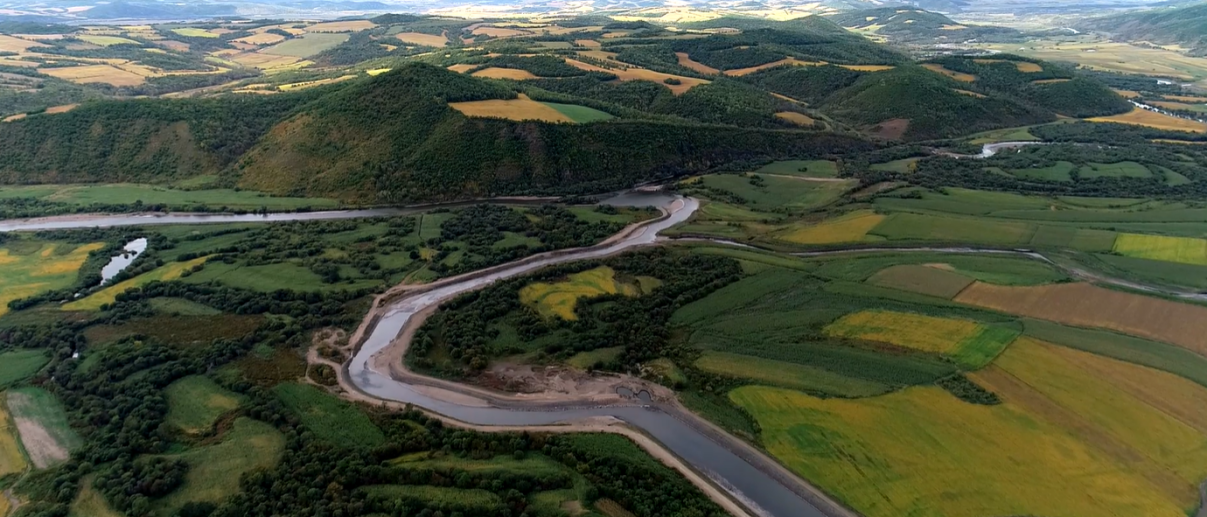 黑龙江嫩江：“三字”深度融入产业发展全链条 特色集群激活乡村振兴新引擎