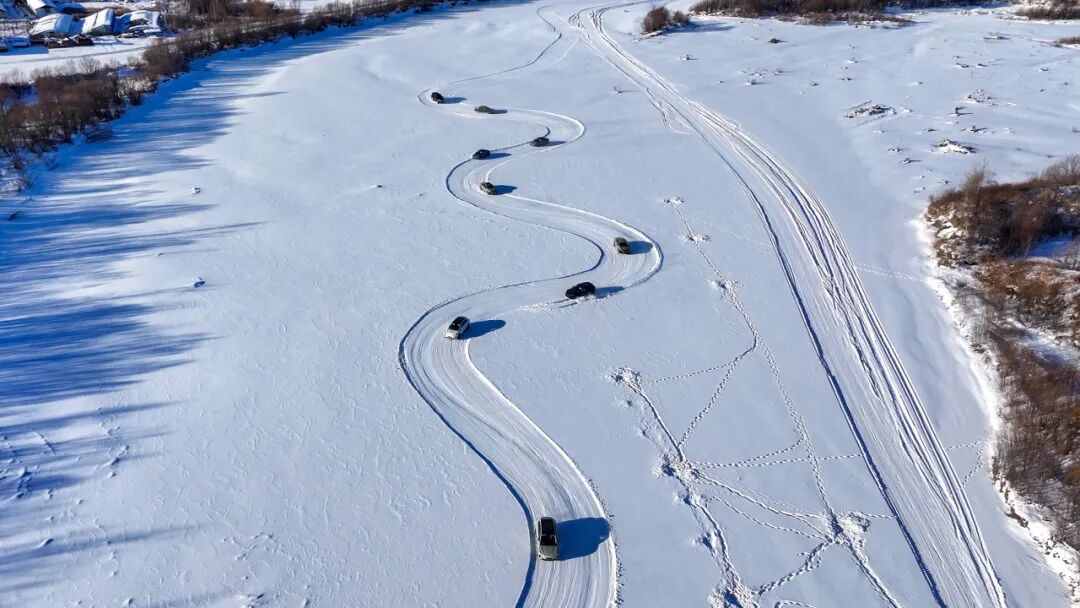 牢记嘱托 感恩奋进 奋力开创高质量发展新局面|零下53.7摄氏度的“热引擎”！漠河林业局寒地测试基地开辟产业新赛道