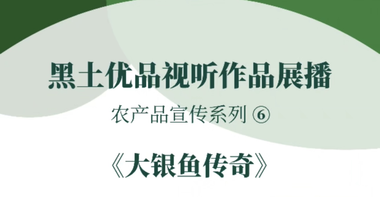 “黑土优品”视听作品征集展播杜尔伯特县融媒体中心《大银鱼传奇》#黑土优品