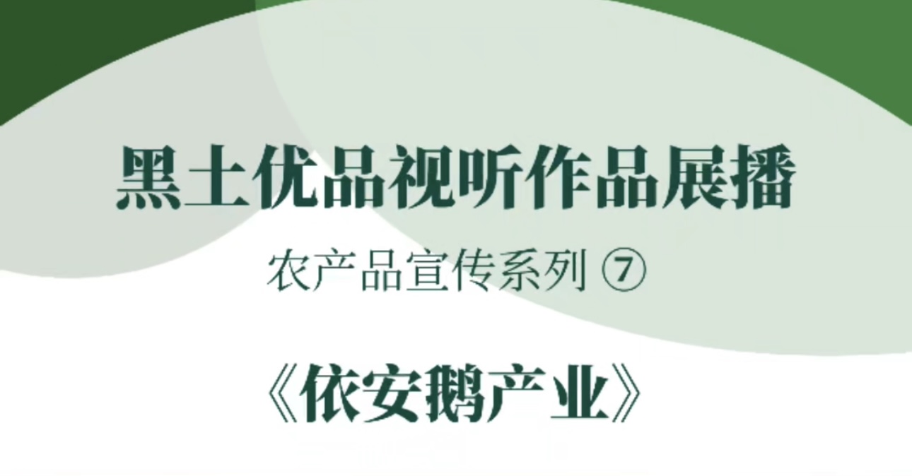 “黑土优品”视听作品征集展播依安县融媒体中心《依安鹅产业》#黑土优品