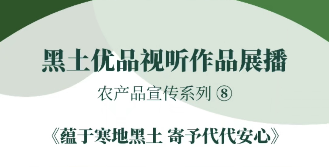 “黑土优品”视听作品征集展播铁力市融媒体中心《蕴于寒地黑土 寄予代代安心》#黑土优品