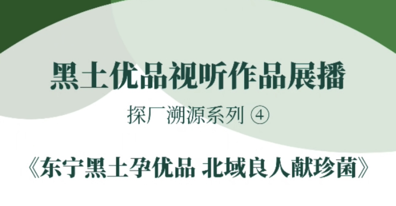 “黑土优品”视听作品征集展播东宁市融媒体中心《东宁黑土孕优品 北域良人献珍菌》#黑土优品