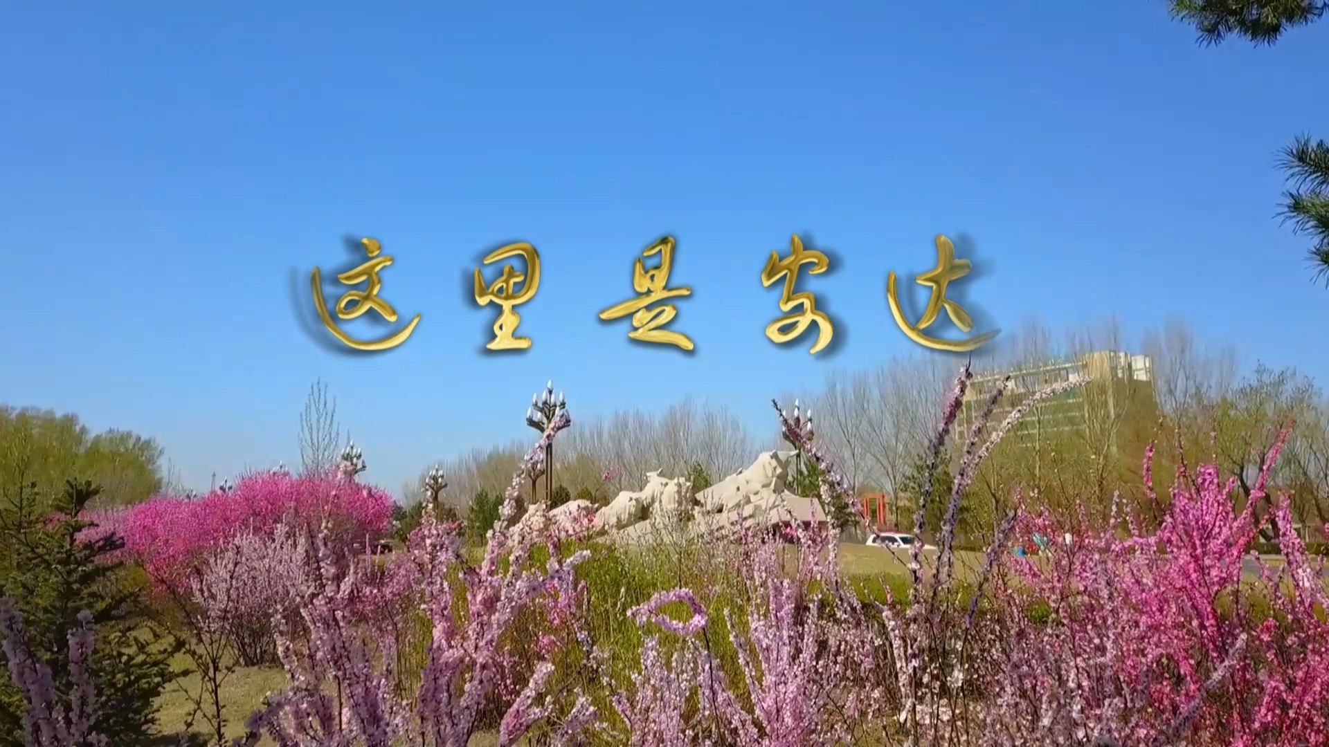 风吹草低见牛羊 草原里的深呼吸小城 这里是--安达