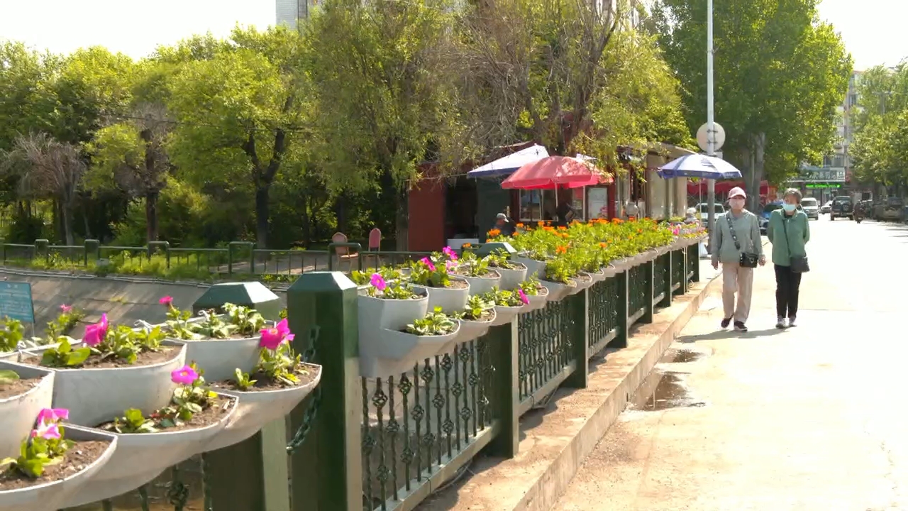 【共建清洁家园 共享健康东宁】扮靓城市“边角”   绘就生态新景