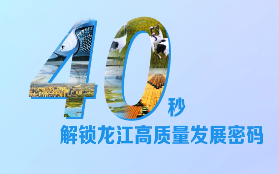 40秒解锁龙江高质量发展密码