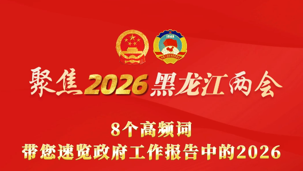 2026年黑龙江将办好这20件民生实事